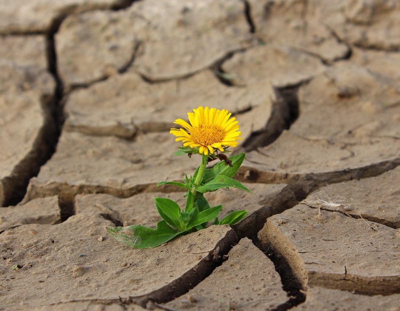 Increased resilience