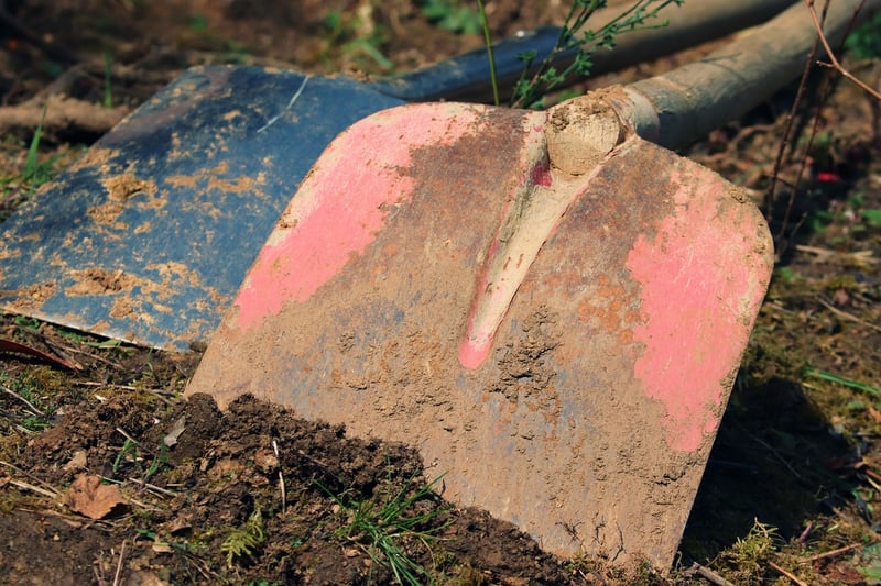 Gardening Soil Improvement